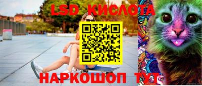 МДПВ Кингисепп