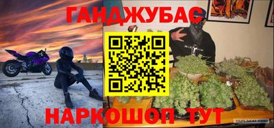 МДПВ Кингисепп
