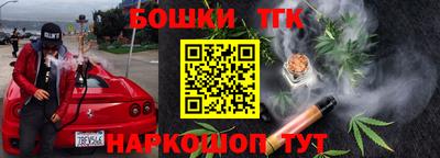 МДПВ Кингисепп