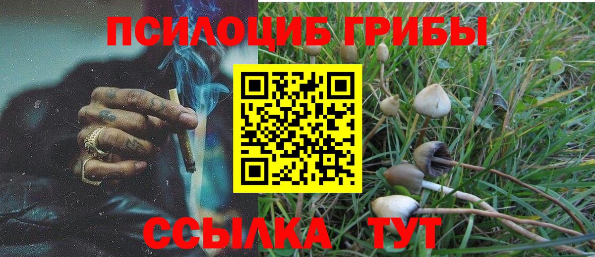 Псилоцибиновые грибы MAGIC MUSHROOMS  Вход с VPN  Кострома 